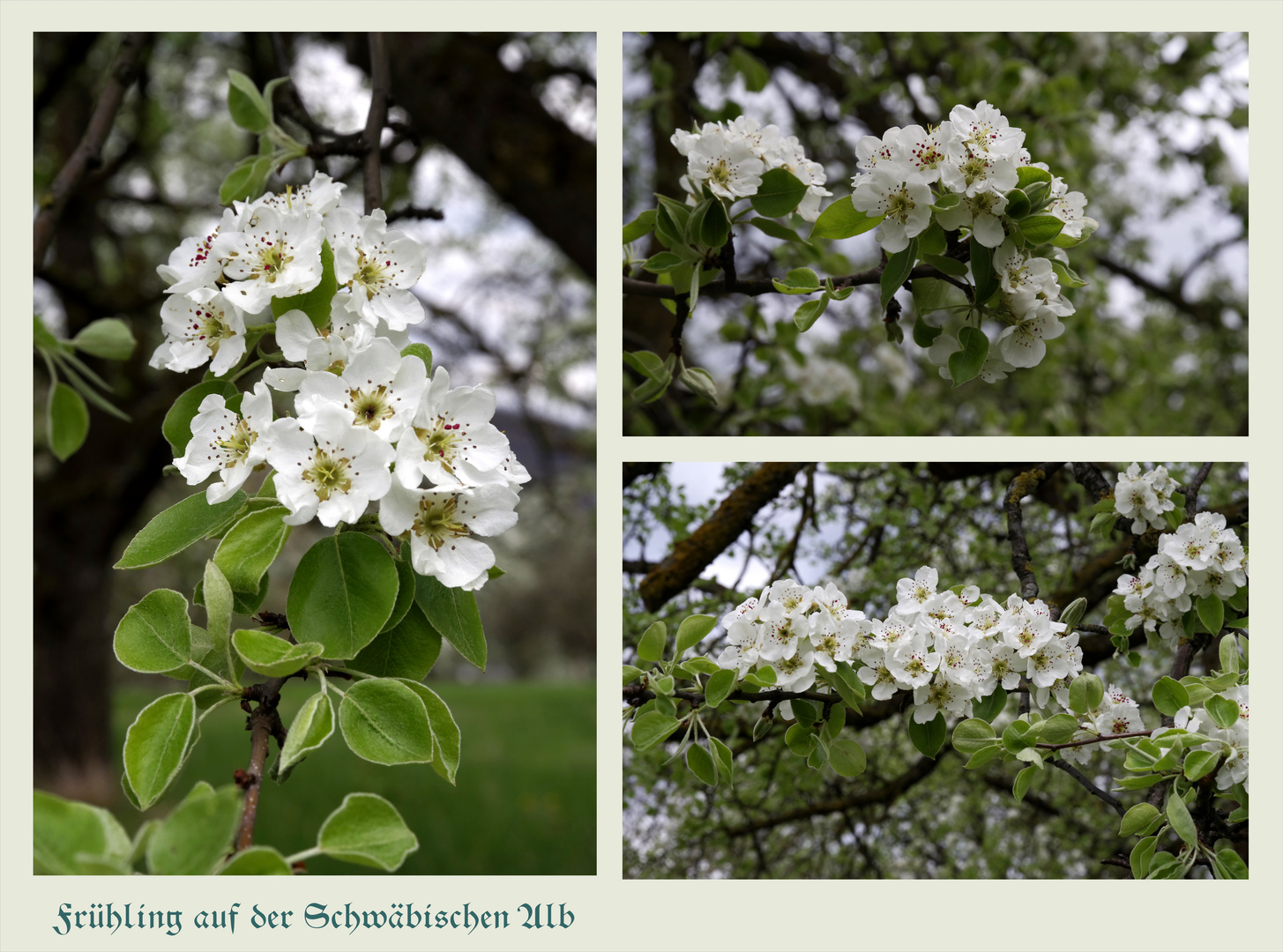 ...Schwäbische Alb