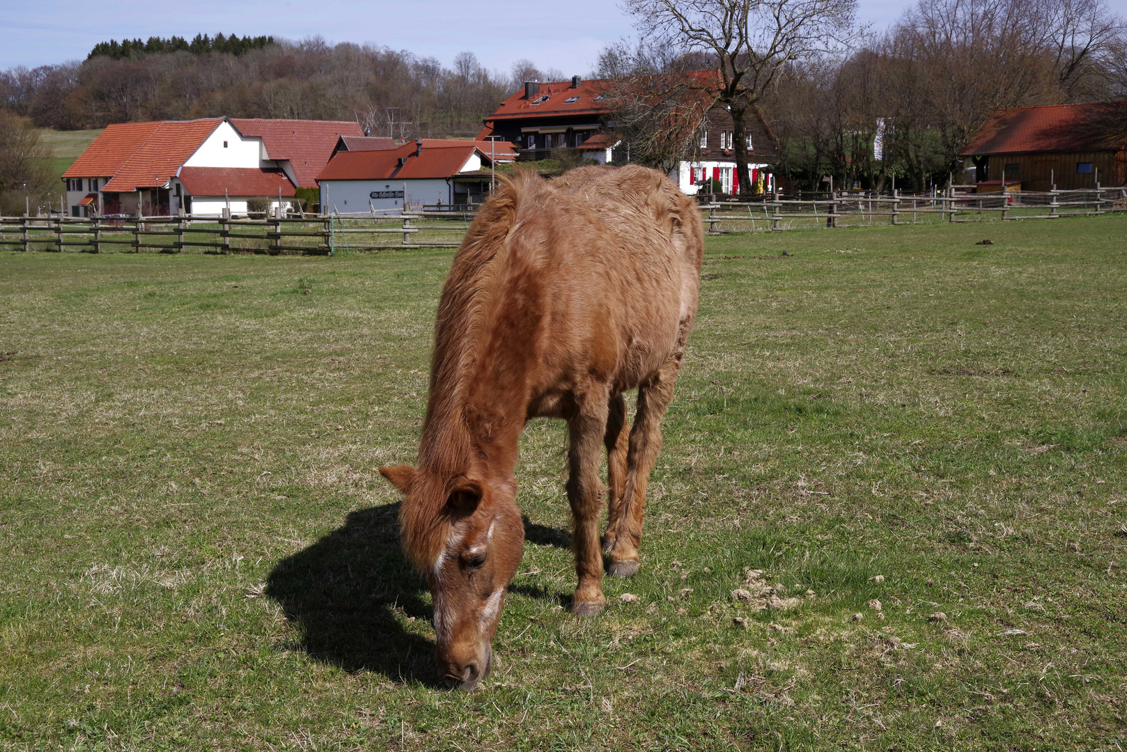 ...Schwäbische Alb