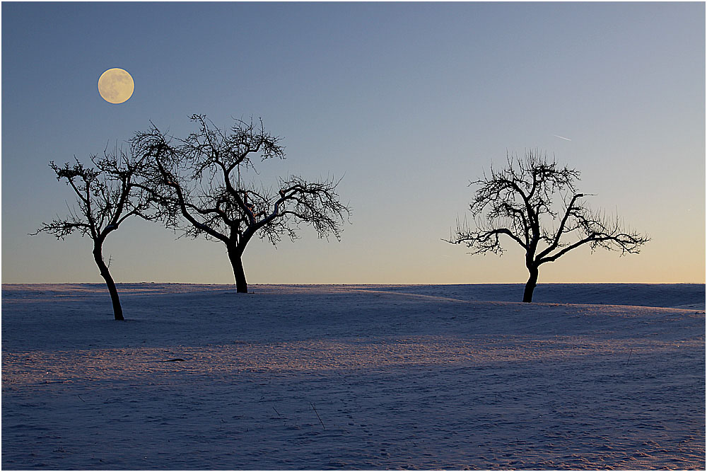 .... Schwäbische Alb / Der Mond im Januar