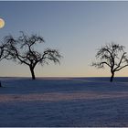.... Schwäbische Alb / Der Mond im Januar