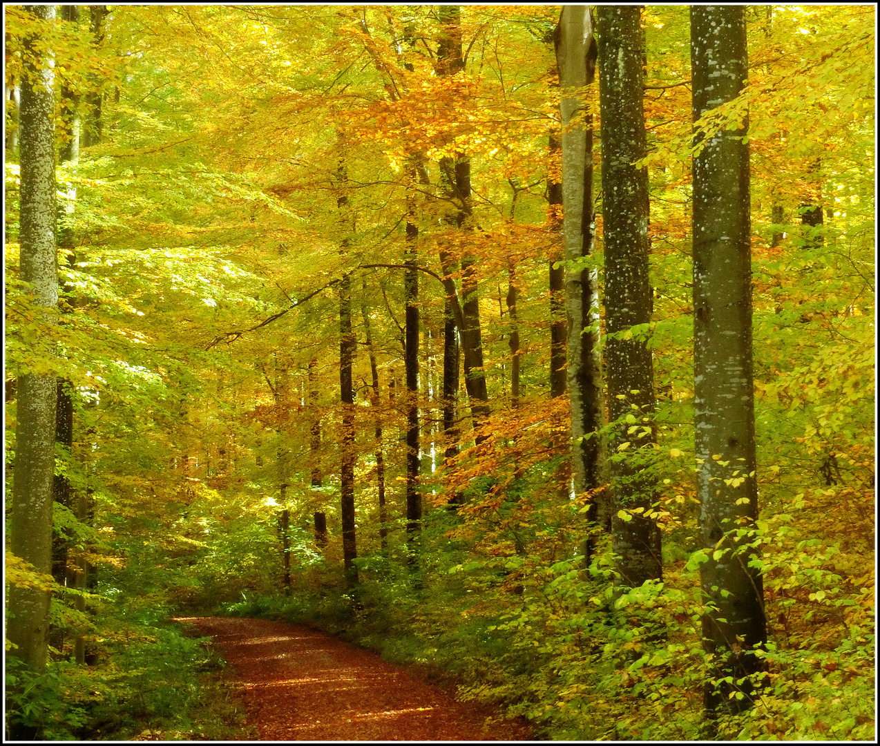 Schwäbische Alb - eine Wanderung im Herbst -