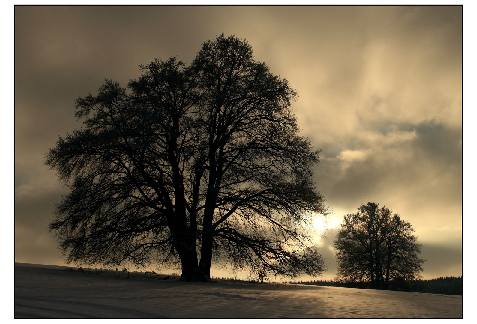 Schwäbische Alb im Winter (III)