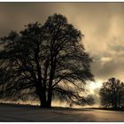 Schwäbische Alb im Winter (III)