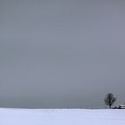 .... Schwäbische Alb / Strohballen am Horizont ....