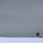 .... Schwäbische Alb / Strohballen am Horizont ....