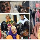 schwaebische-alemannische-fasnet