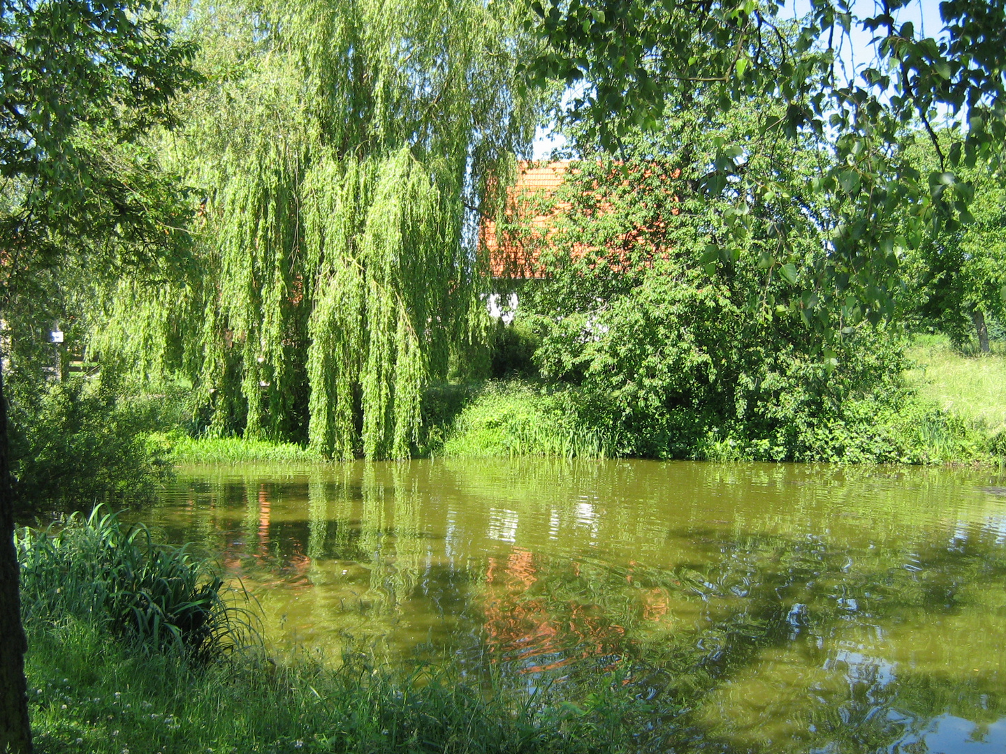 schwäbische Landschaft