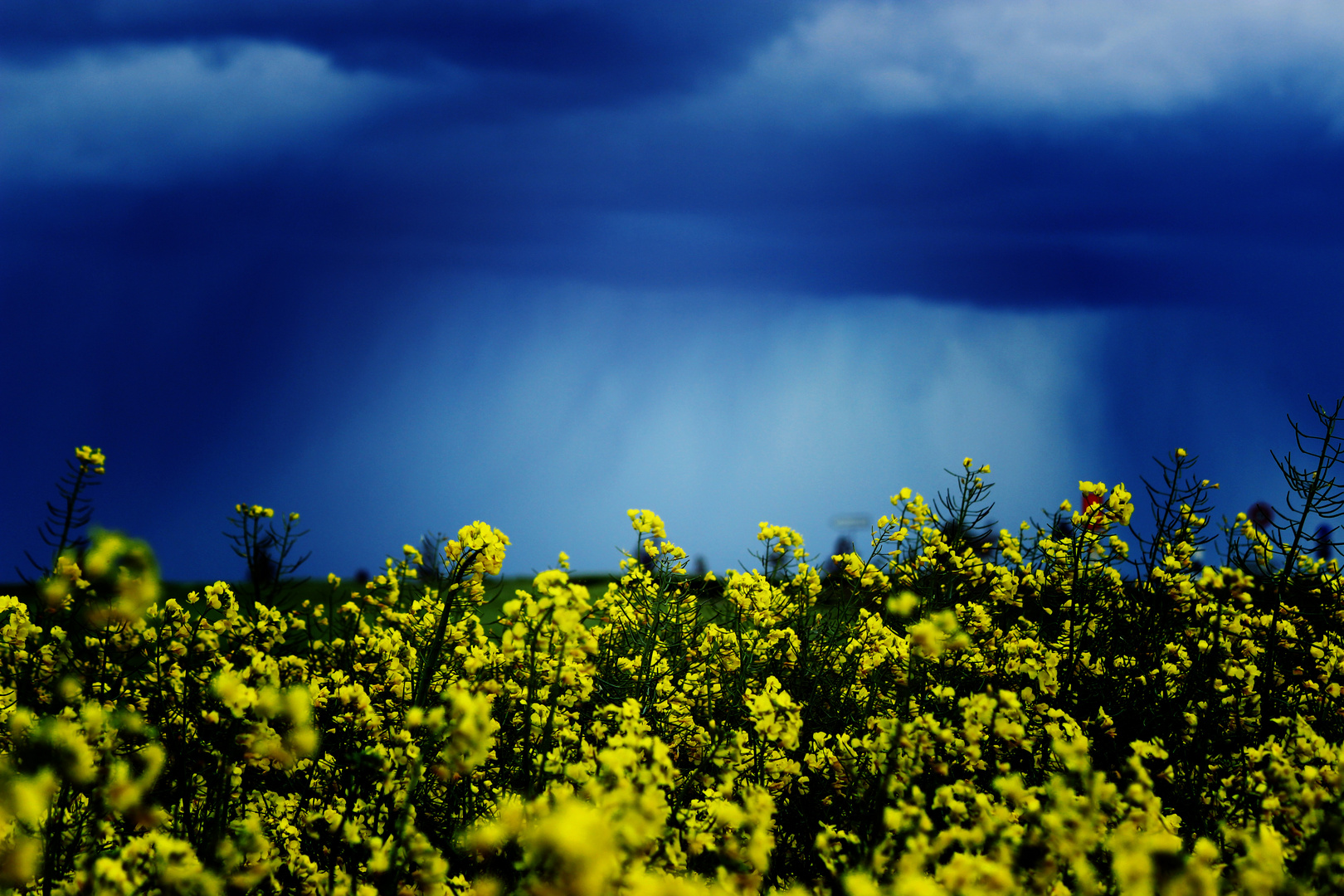 Schwäbische Landschaft mit Landregen