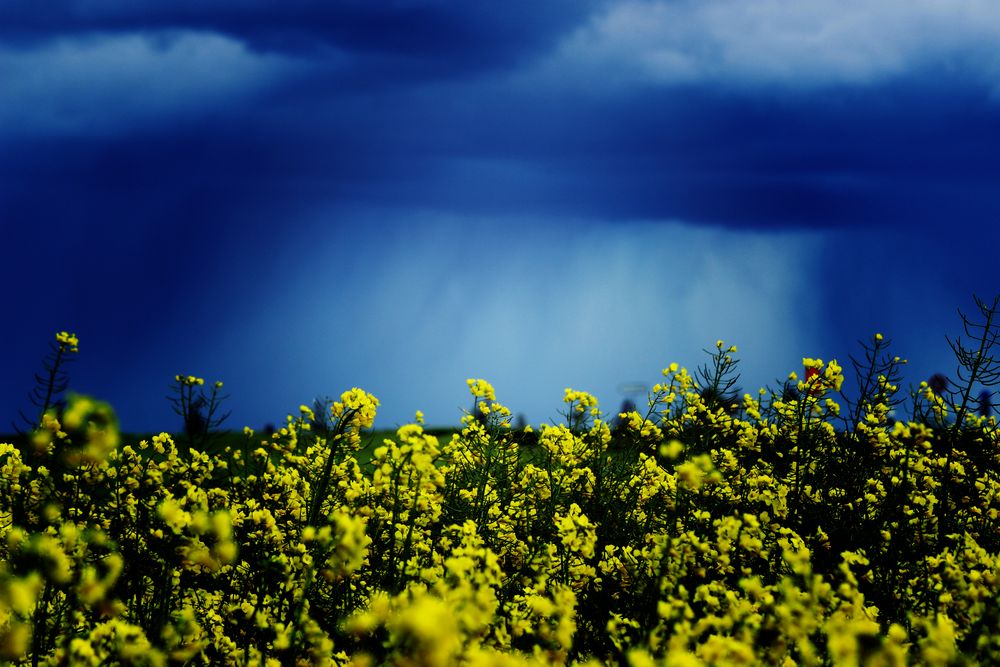 Schwäbische Landschaft mit Landregen