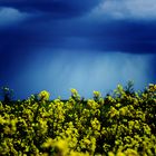 Schwäbische Landschaft mit Landregen