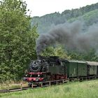 Schwäbische Waldbahn