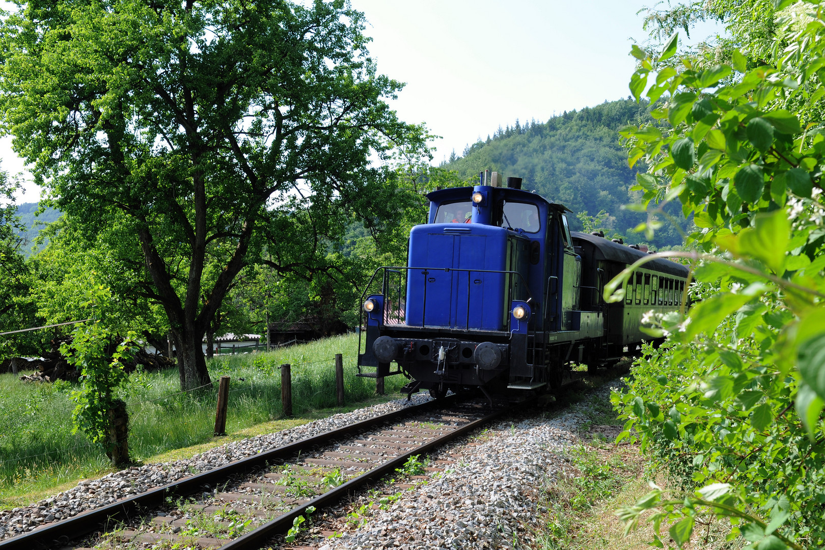 Schwäbische Waldbahn in blau