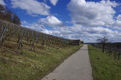 Schwäbische Weinberge bei Freudental