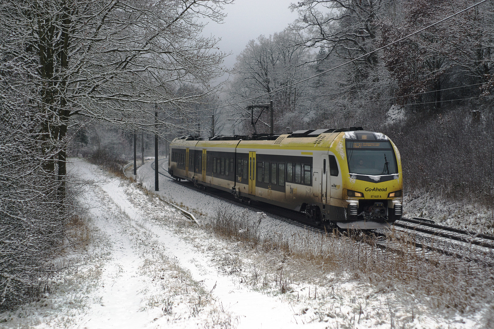 Schwäbischer Dreckspatz