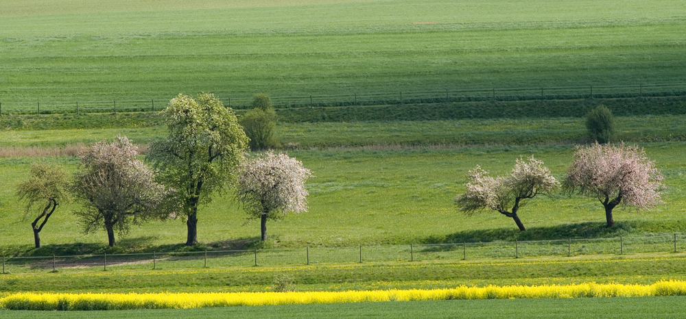 Schwäbischer Frühling