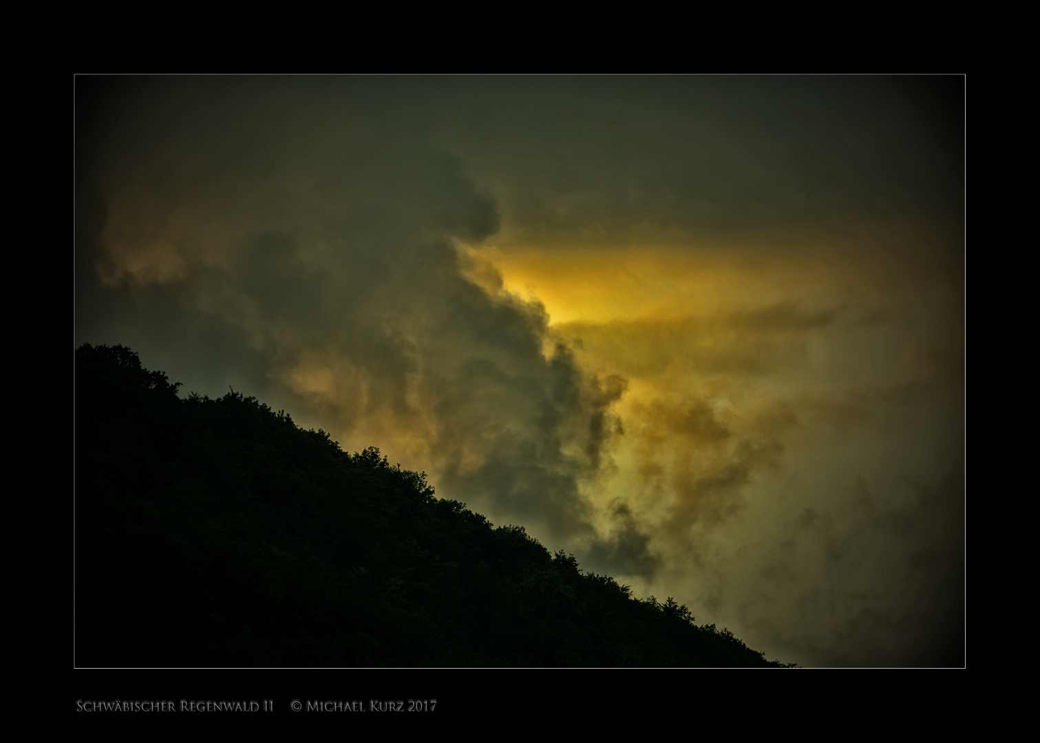 "Schwäbischer Regenwald"   © Michael Kurz 2017