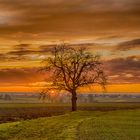 Schwäbischer Sonnenuntergang