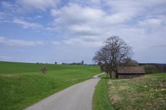 Schwäbischer Wald