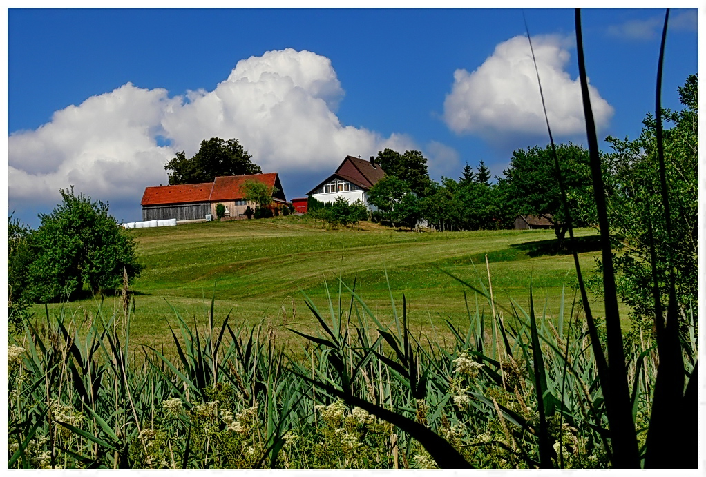 *Schwäbischer Wald*