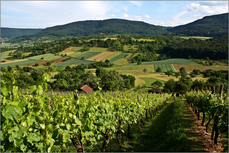 Schwäbischer Wein...