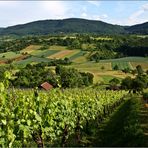 Schwäbischer Wein...