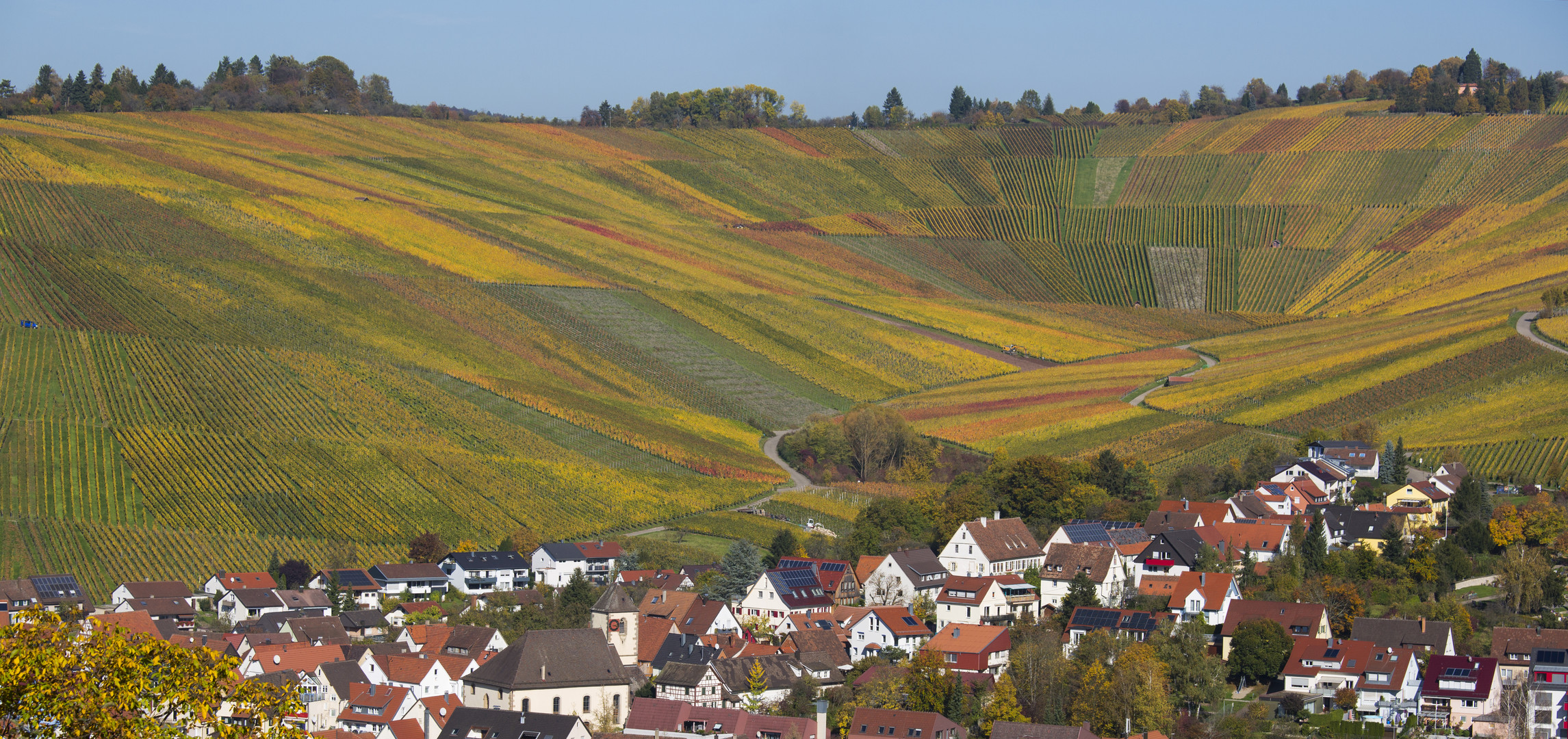 Schwäbischer Weinberg bei Schnait