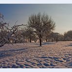 Schwäbischer Wintertraum