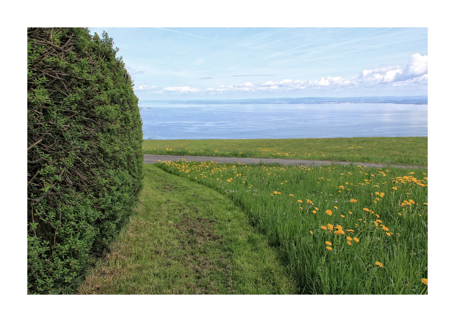 Schwäbisches Meer