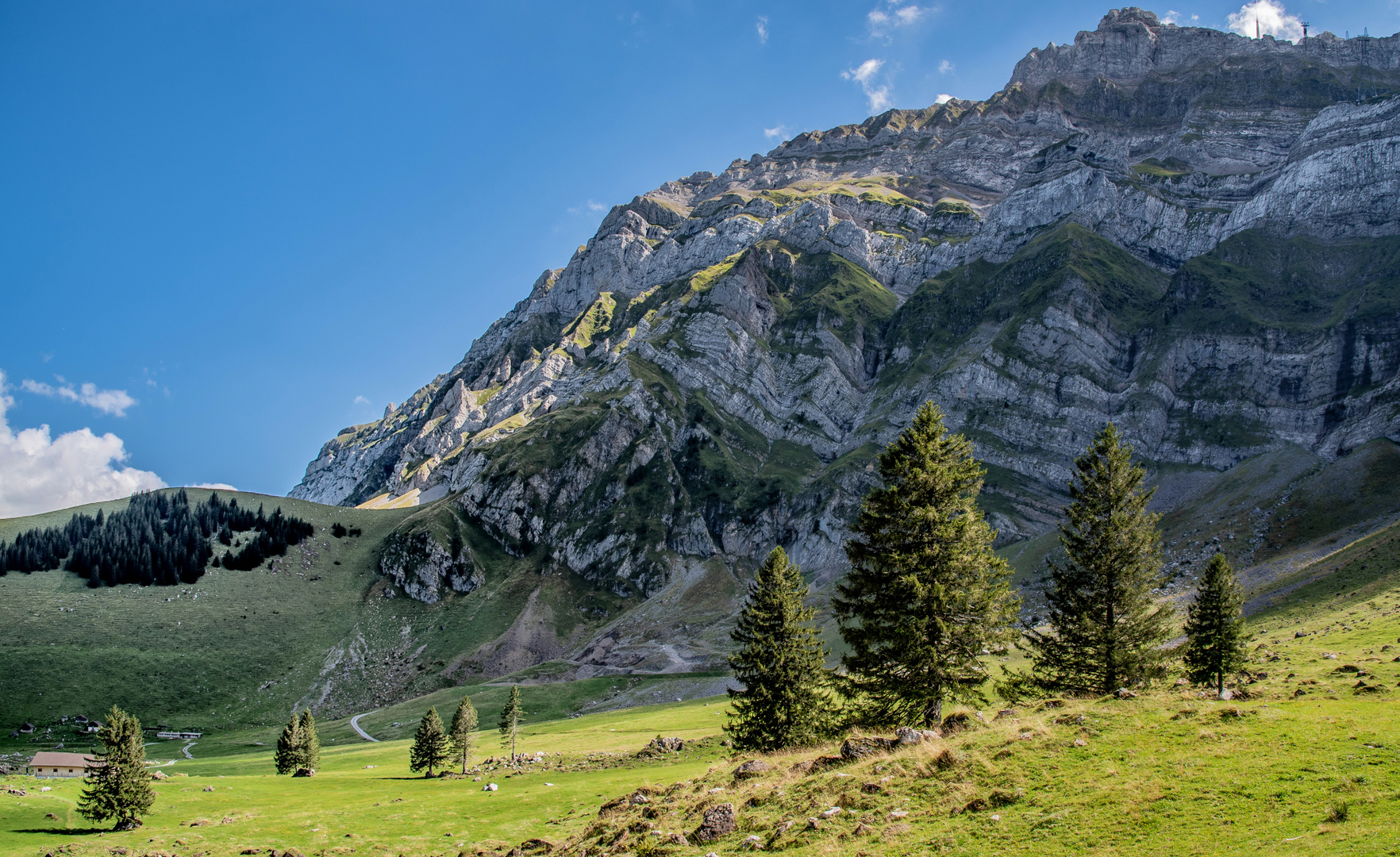 Schwägalp mit Säntis