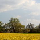 Schwälmer Frühling