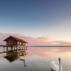 Schwäne auf dem Ammersee