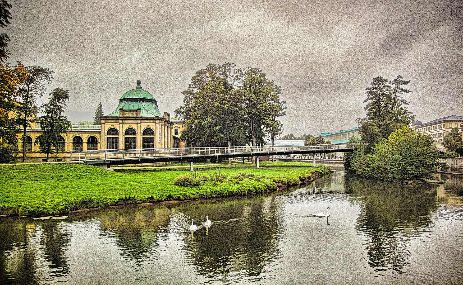 Schwäne auf der Saale