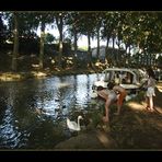 Schwäne füttern am Canal du Midi