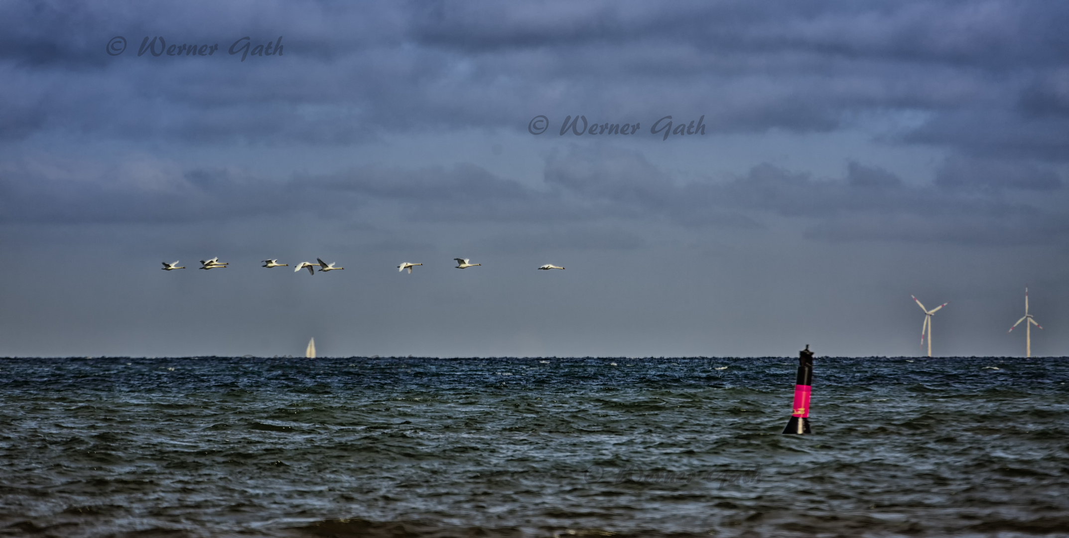 Schwäne über der Ostsee