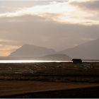 Schwäne vor dem Snaefellsjökull