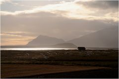 Schwäne vor dem Snaefellsjökull