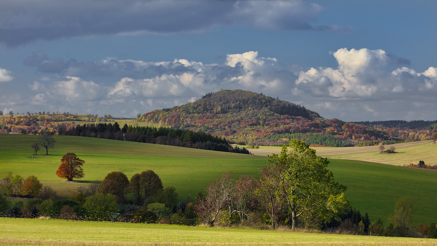 schwärmende Stare unter dem Geisingberg