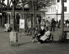 ~ Schwätzchen in der Sonne ~