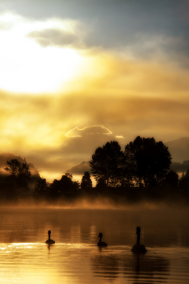 Schwahnensee.