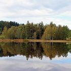 Schwaigsee, bei Wildsteig, Pfaffenwinkel, Allgäu