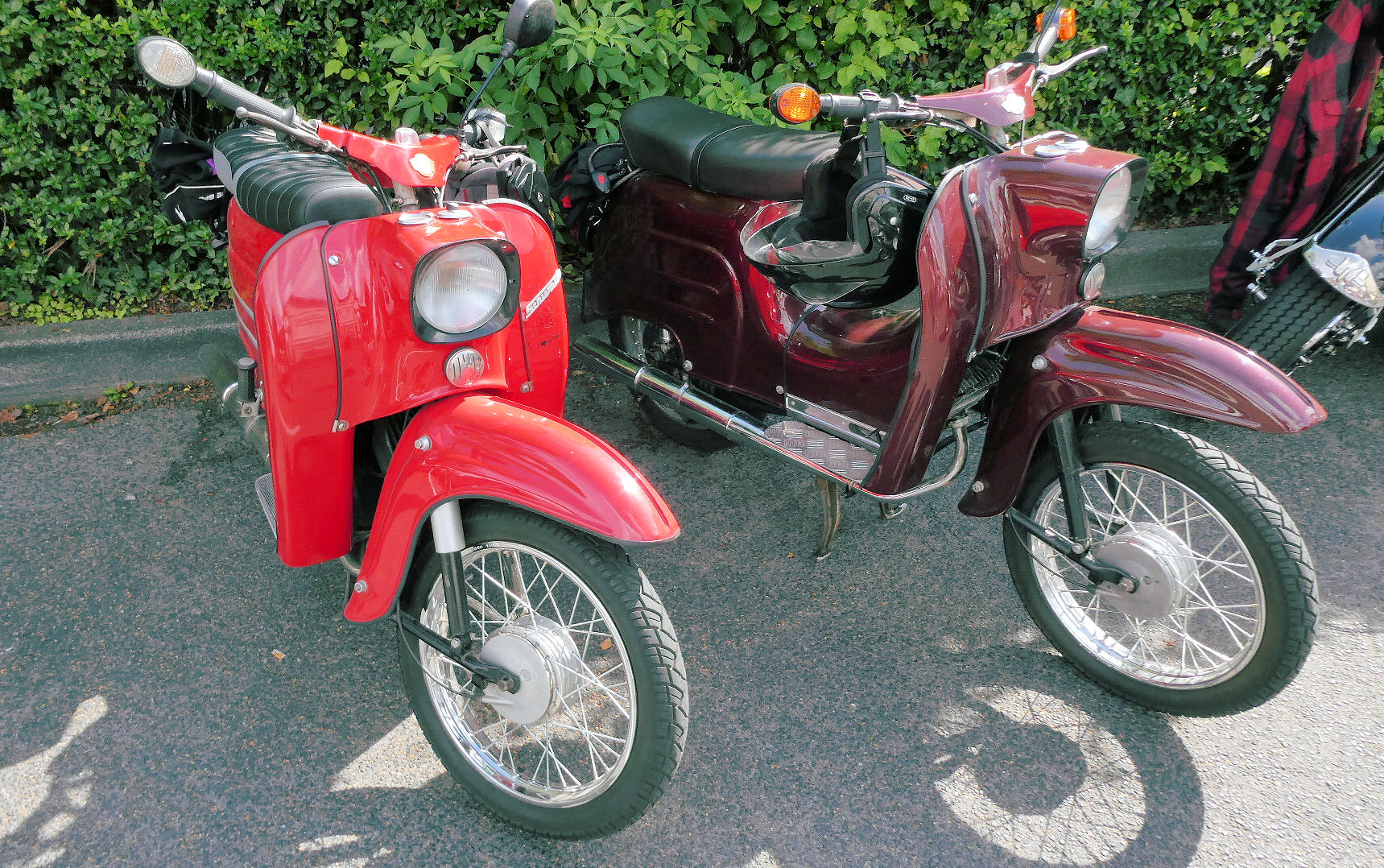 Schwalbe und Simson