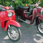 Schwalbe und Simson