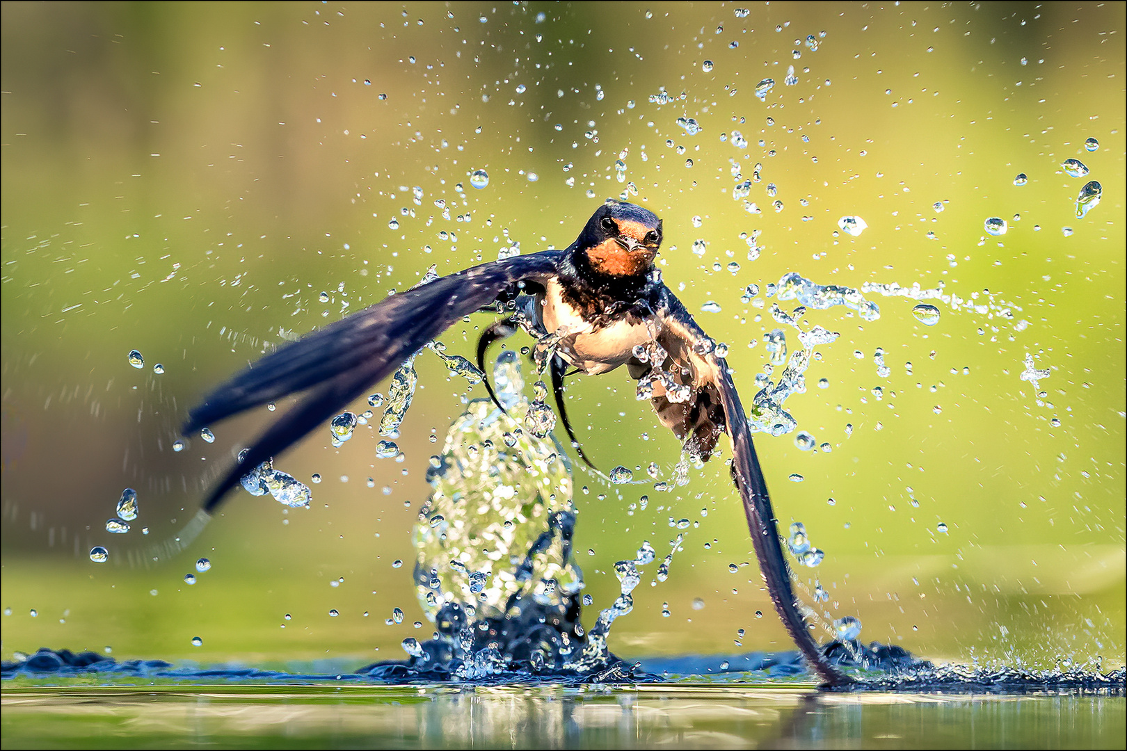 Schwalben fliegen tief 