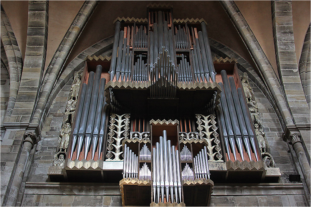 Schwalbennest-Orgel