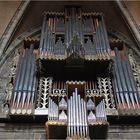 Schwalbennest-Orgel
