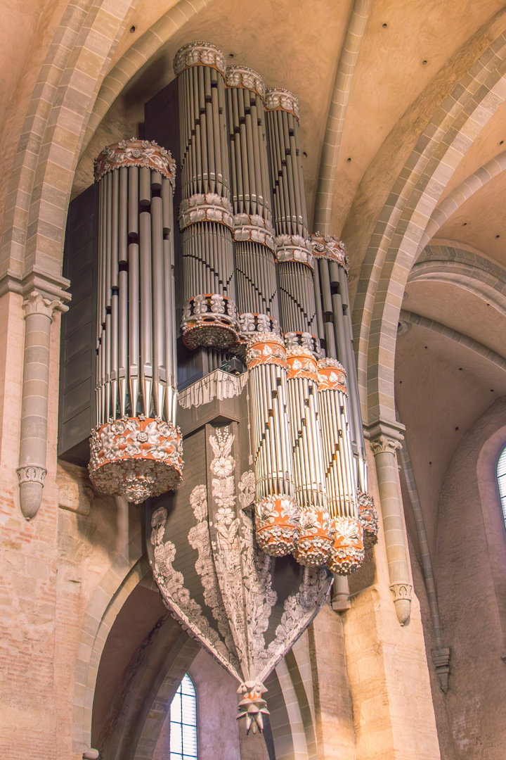 Schwalbennest Orgel im Trierer Dom