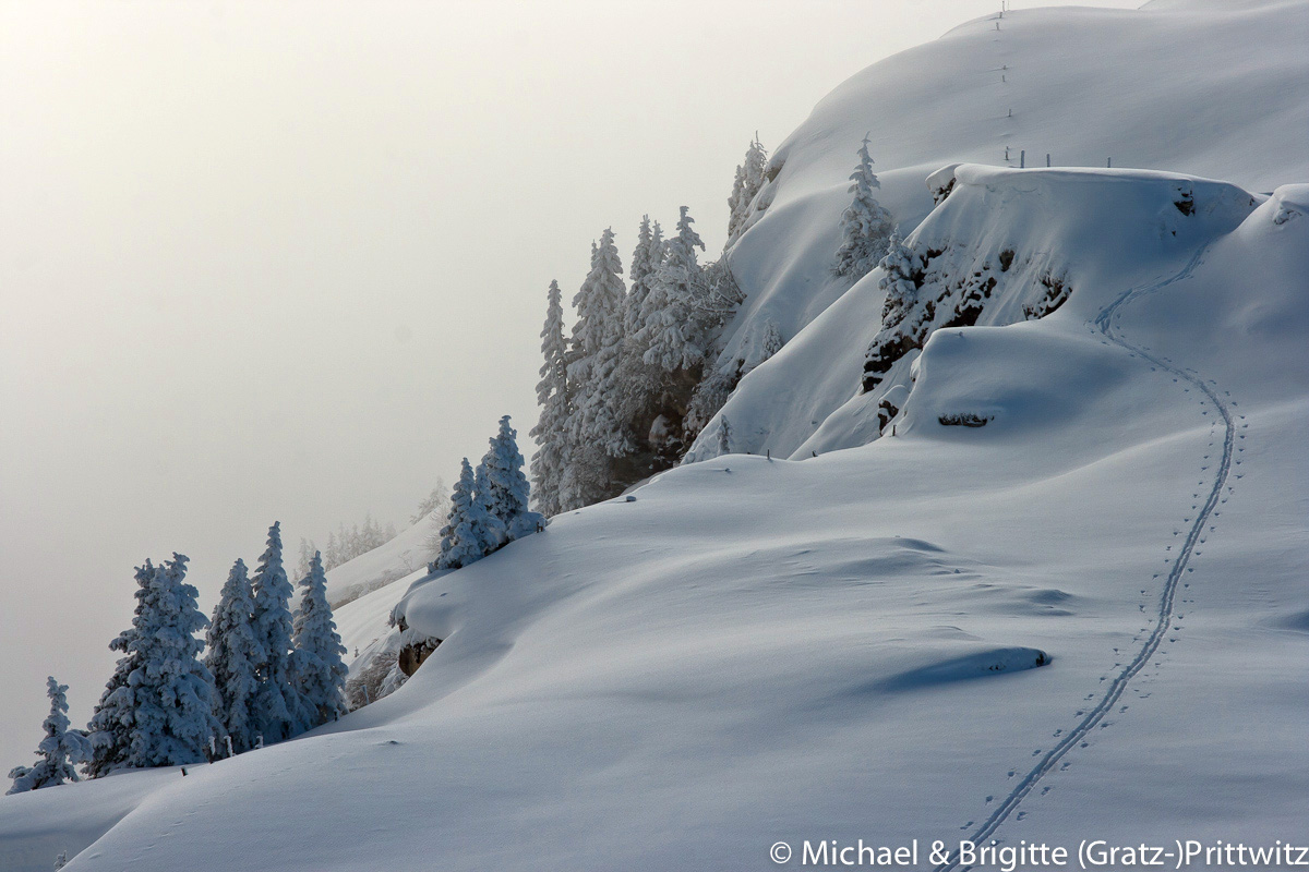 Schwalbenwand bei Saalfelden/Pinzgau