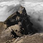 Schwalmere SW Grat - Rückblick auf eine erlebnisreiche Wanderung