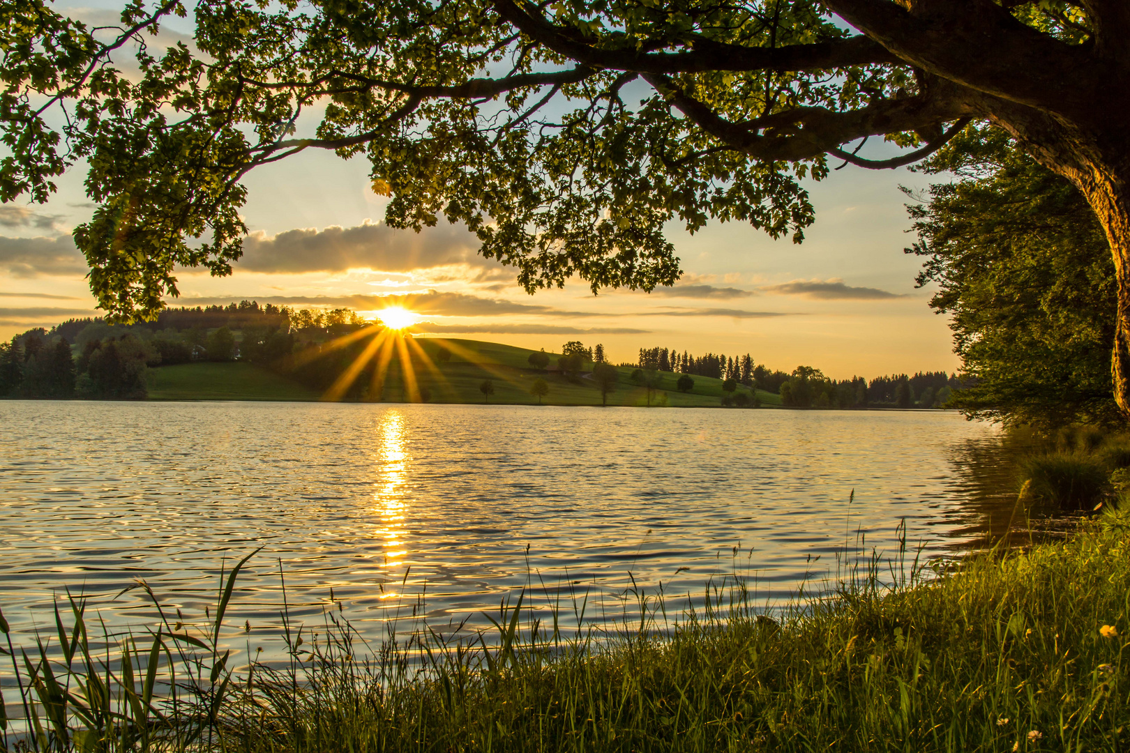 Schwaltenweiher