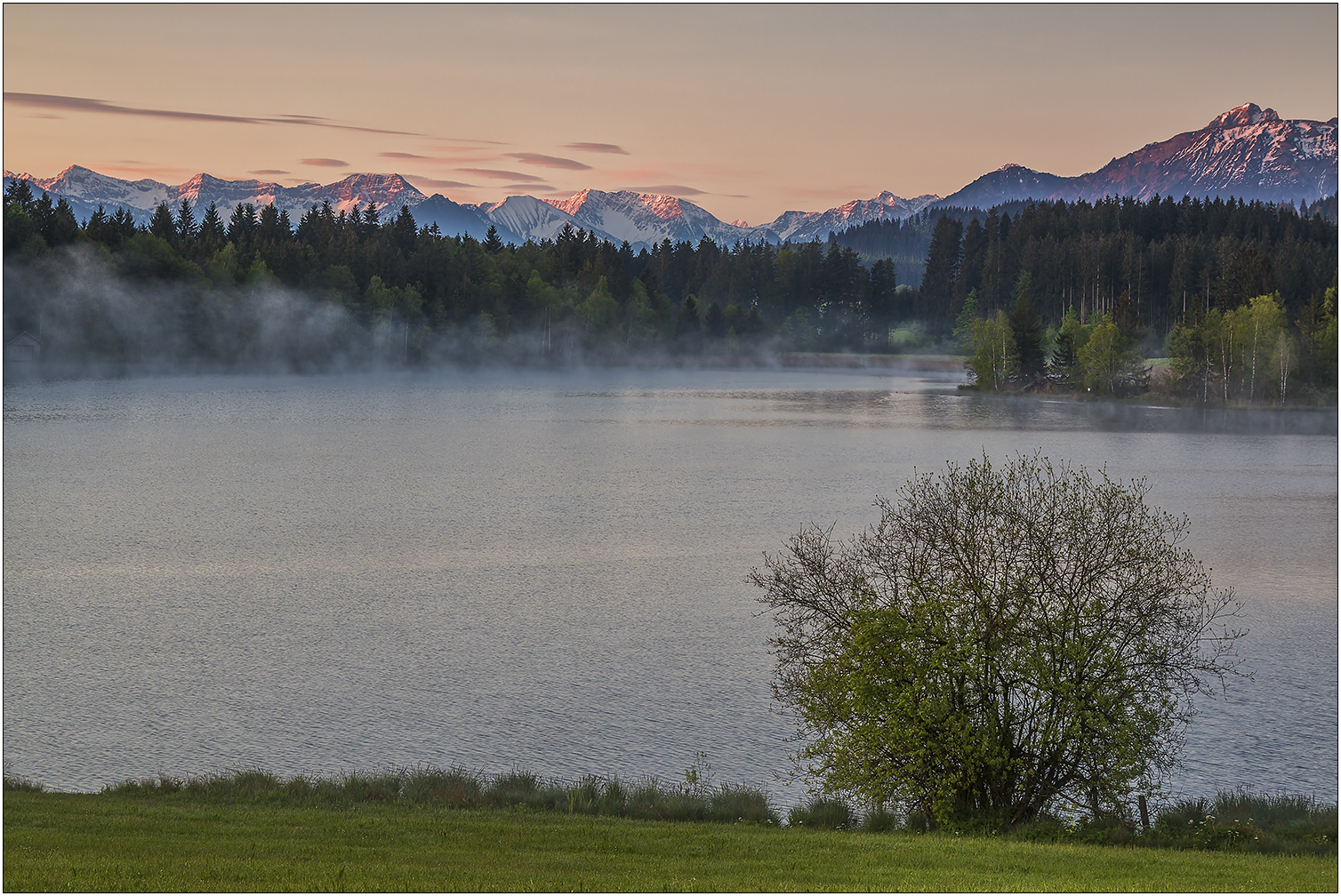 Schwaltenweiher